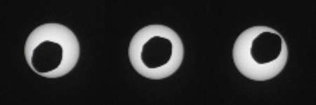 Saisie en trois images, la scène a duré trois secondes. Phobos, plus gros satellite de Mars (27 × 22 × 18 km) passe devant le disque solaire dans le ciel martien observé par le rover Curiosity le 17 août 2013 au 339e jour (martien) de la mission MSL (Mars Science Laboratory). Il est midi en heure locale mais la caméra de mât (une des deux Mastcams) se règle pour la lumière du Soleil et le ciel paraît complètement noir. © Nasa/JPL-Caltech/Malin Space Science Systems/Texas A&M Univ.
