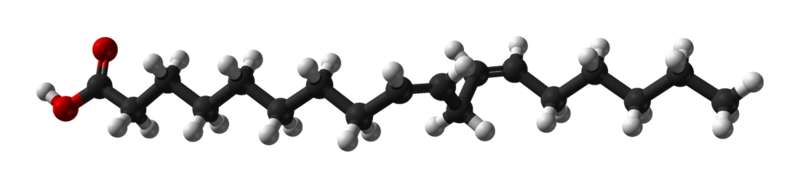 L'acide linoléique est un acide gras de type oméga-6 à 18 atomes de carbone. Crédits DR.