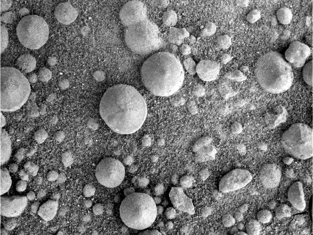Le buzz du mois : sur Mars, Opportunity découvre d’étranges sphérules, surnommées myrtilles, semblables à celles qu'Opportunity avait découvertes en 2004, peu après son arrivée dans la région de Meridian Planum. Ces sphérules sont formées d'hématite, c'est-à-dire un oxyde de fer. © Nasa/JPL-Caltech/Cornell Univ./U.S. Geological Survey