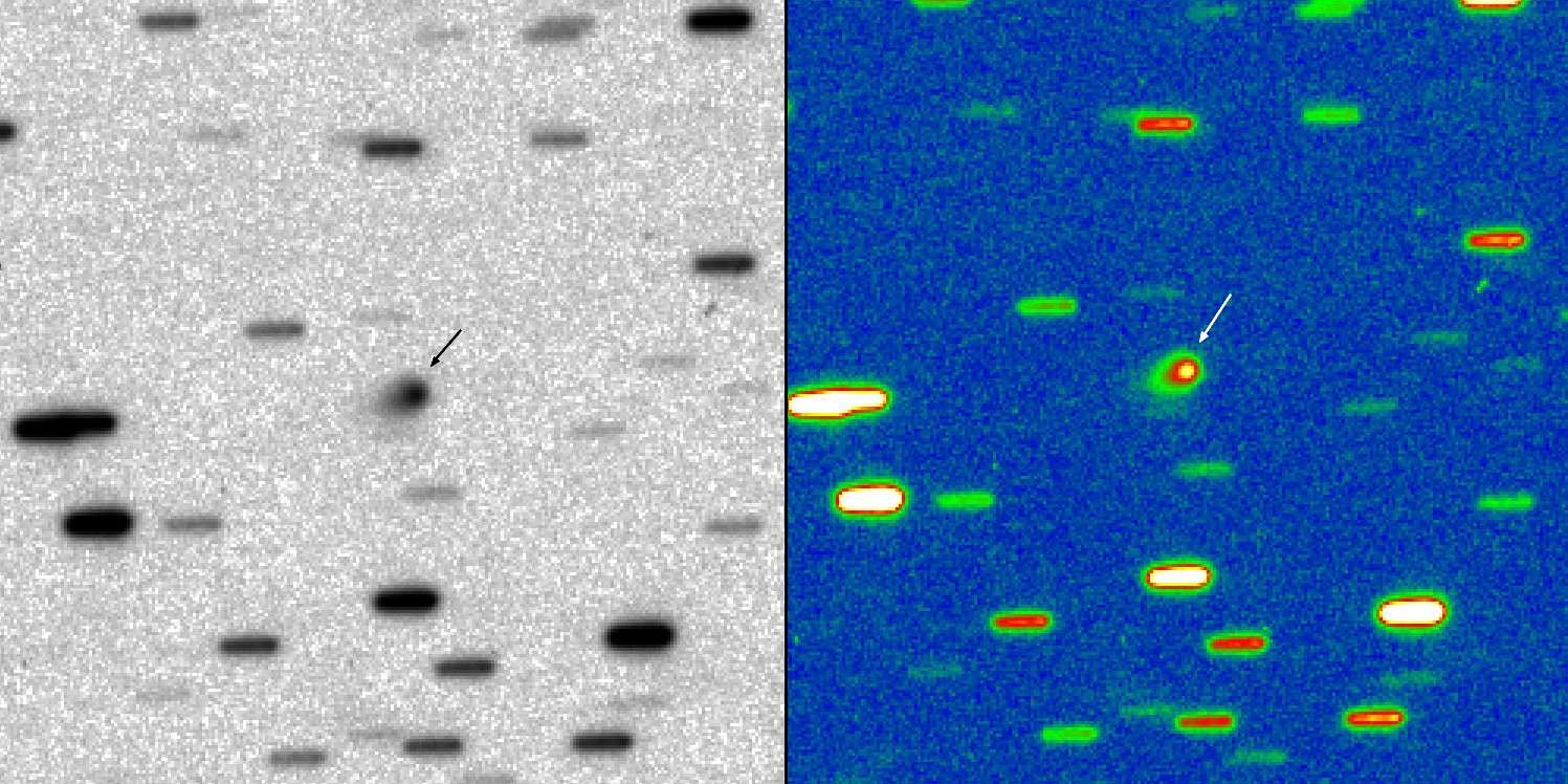 Photographiée le 3 février 2012 par un télescope automatique installé au Nouveau-Mexique, la comète Ison, alors de magnitude 16, montrait déjà les signes d'un dégazage surprenant à une telle distance du Soleil (plus de 5 UA). © Rolando Ligustri, ITelescope.net, Cara