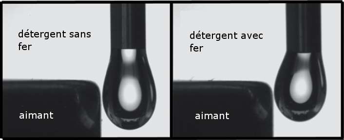 Un détergent contenant des atomes de fer sensible au champ magnétique d'un aimant. © Brown et al. 2012 Angewandte Chemie - adaptation Futura-Sciences