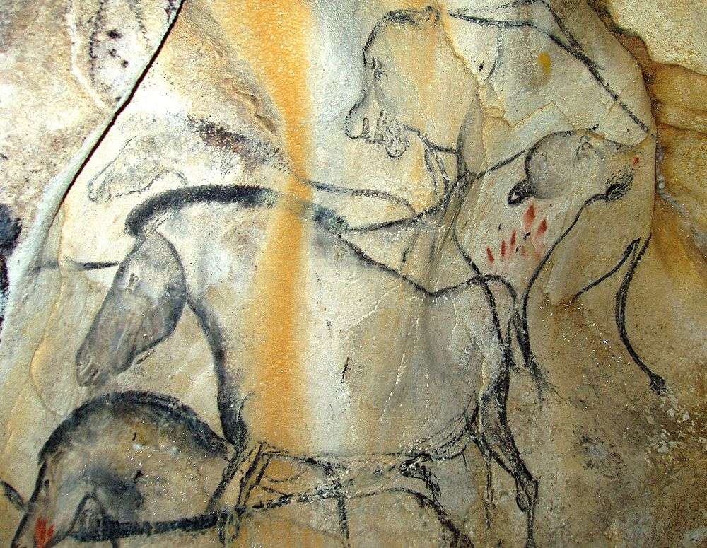 Certaines œuvres de la grotte Chauvet sont réalisées au fusain, d'autres à la peinture. Ici sont représentés plusieurs chevaux et un couple de félins, le mâle reniflant la femelle accroupie. © Jean Clottes