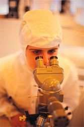 Des particules de silice pour combattre le cancer Des particules de silice pour combattre le cancer