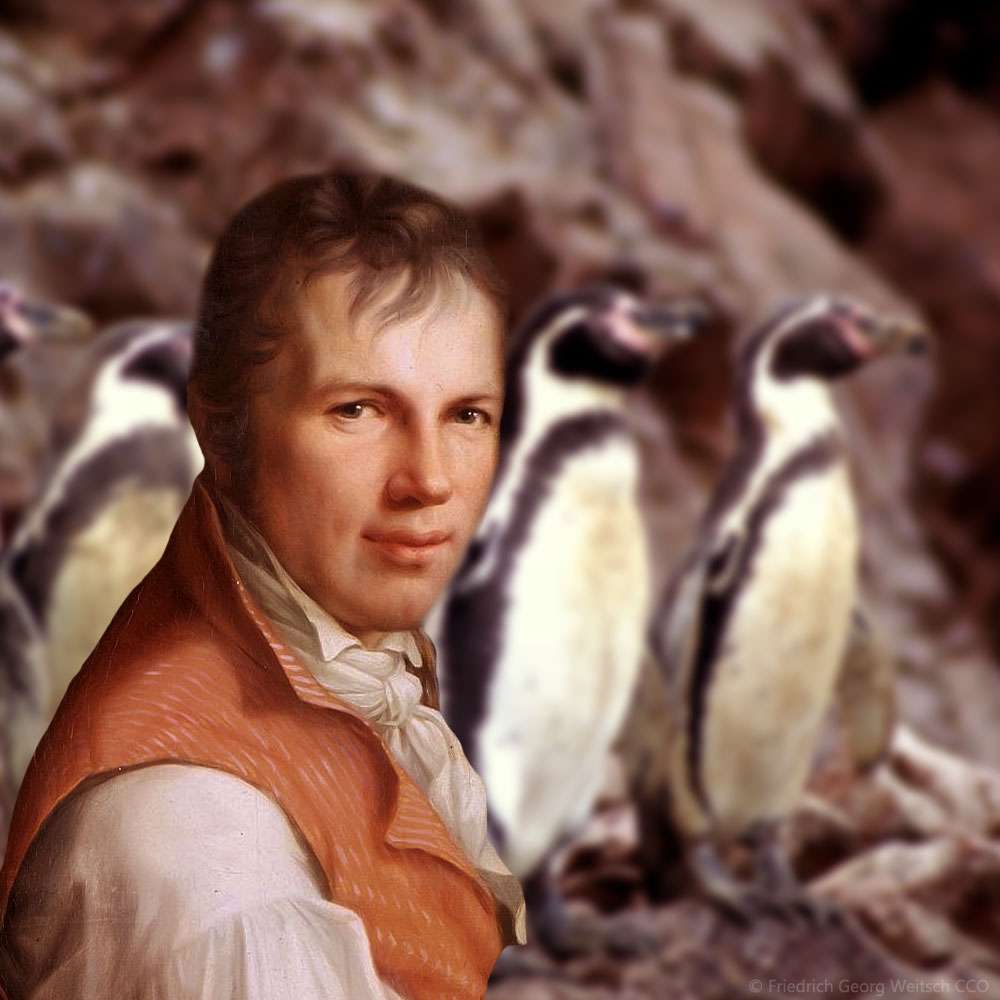 Biographie Alexander Von Humboldt Naturaliste et explorateur Futura Planète Biographie Alexander Von Humboldt Naturaliste et explorateur Futura Planète