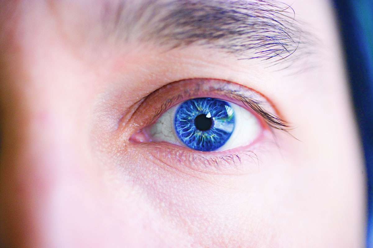 Le glaucome est l'une des nombreuses pathologies de l'œil qui affectent la vision. Il existe des solutions thérapeutiques mais celles-ci s'attaquent davantage aux symptômes qu'au problème à la source. En inhibant une des cytokines, on pourrait enfin toucher au cœur de la pathologie. © feastoffun.com, cc by nc sa 2.0
