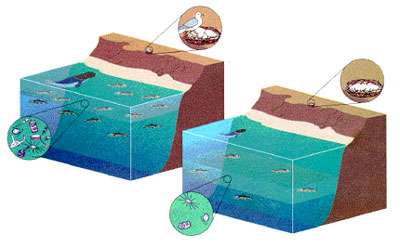 El Niño, qu'est-ce que c'est ?
