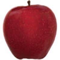 Croquez des pommes pour réduire Alzheimer en compote ! Mangez des pommes !