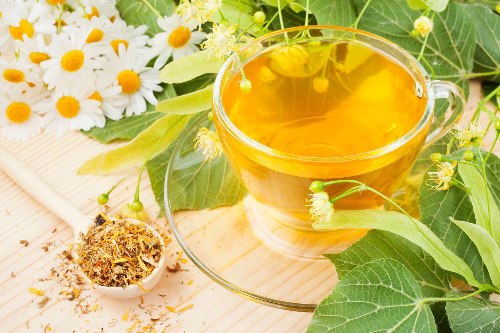 Мед утром польза. Травяной чай. Лекарственные растения в народной медицине. Отвары из лекарственных трав. Чай с травами.