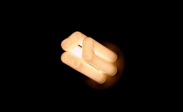 Ampoule fluocompacte dont les tubes fluorescents sont bien visibles ici. © Thibaud Issartel CC by-nc-nd 2.0