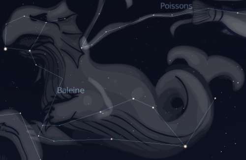 Constellation de la Baleine