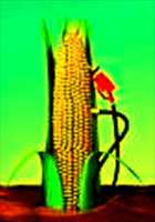 Biocarburants : les dangers d'une utilisation massive Biocarburant