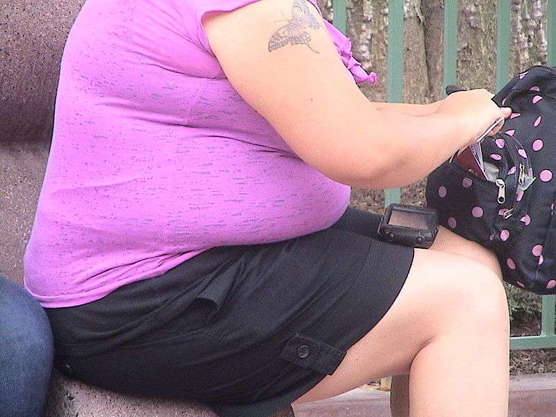 L'obésité serait favorisée par un déséquilibre alimentaire des oméga-3 et 6. © Mallinaltzin / Licence Creative Commons