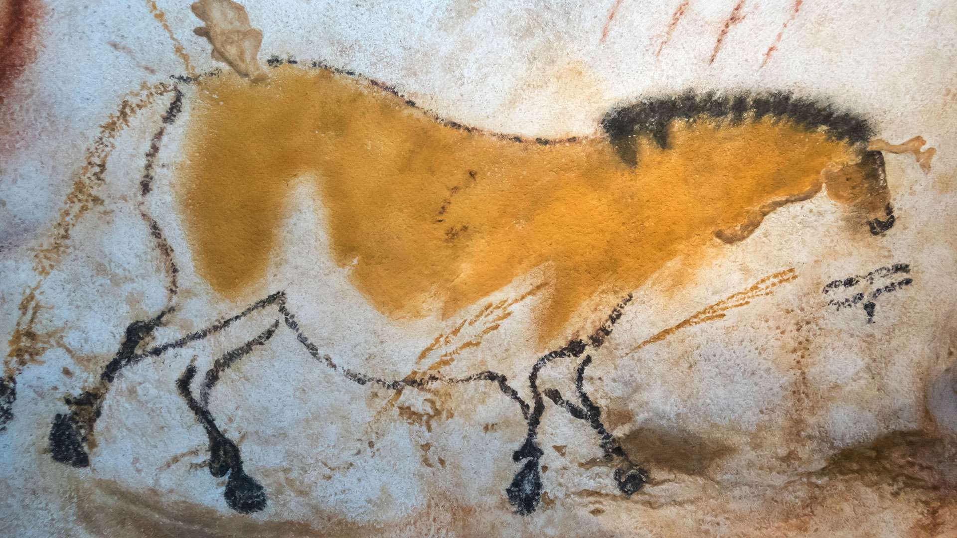 Un cheval « chinois » à Lascaux - Photos Futura