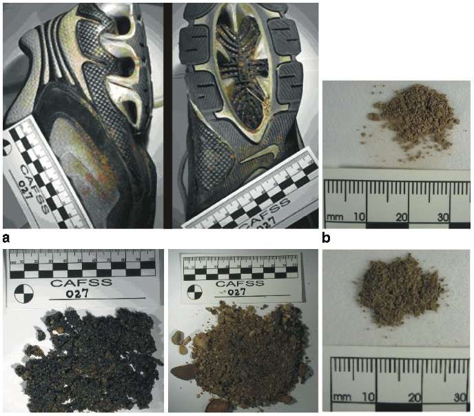 L’analyse de la terre retrouvée sous les chaussures permet de retrouver l’endroit où est passé le suspect. © Rob W Fitzpatrick, Criminal and Environmental Soil Forensics, 2009