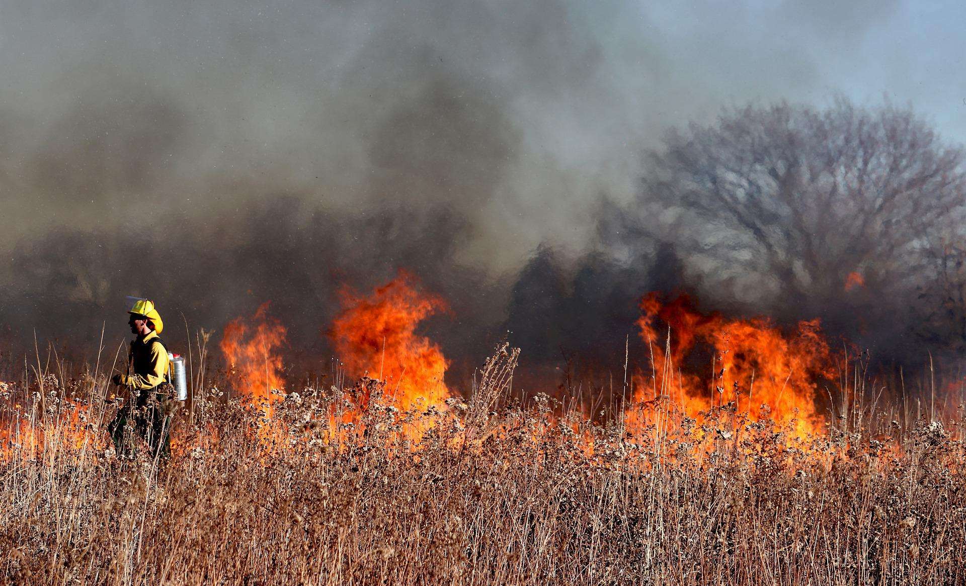 Muitos países inspiram-se em Portugal para combater os incêndios