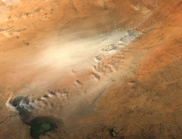 Comment Le Sable Du Sahara Fertilise La Foret Amazonienne