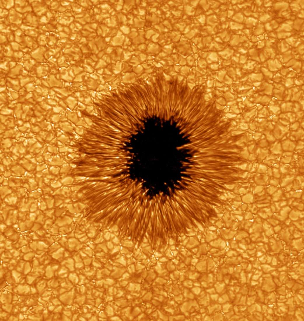 Résolution exceptionnelle pour cette image de tache solaire obtenue à l'aide du New Solar Telescope. Crédit Big Bear Solar Observatory