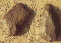 Capacités des hommes archaïques révélées par leurs outils Crédit : CIRS