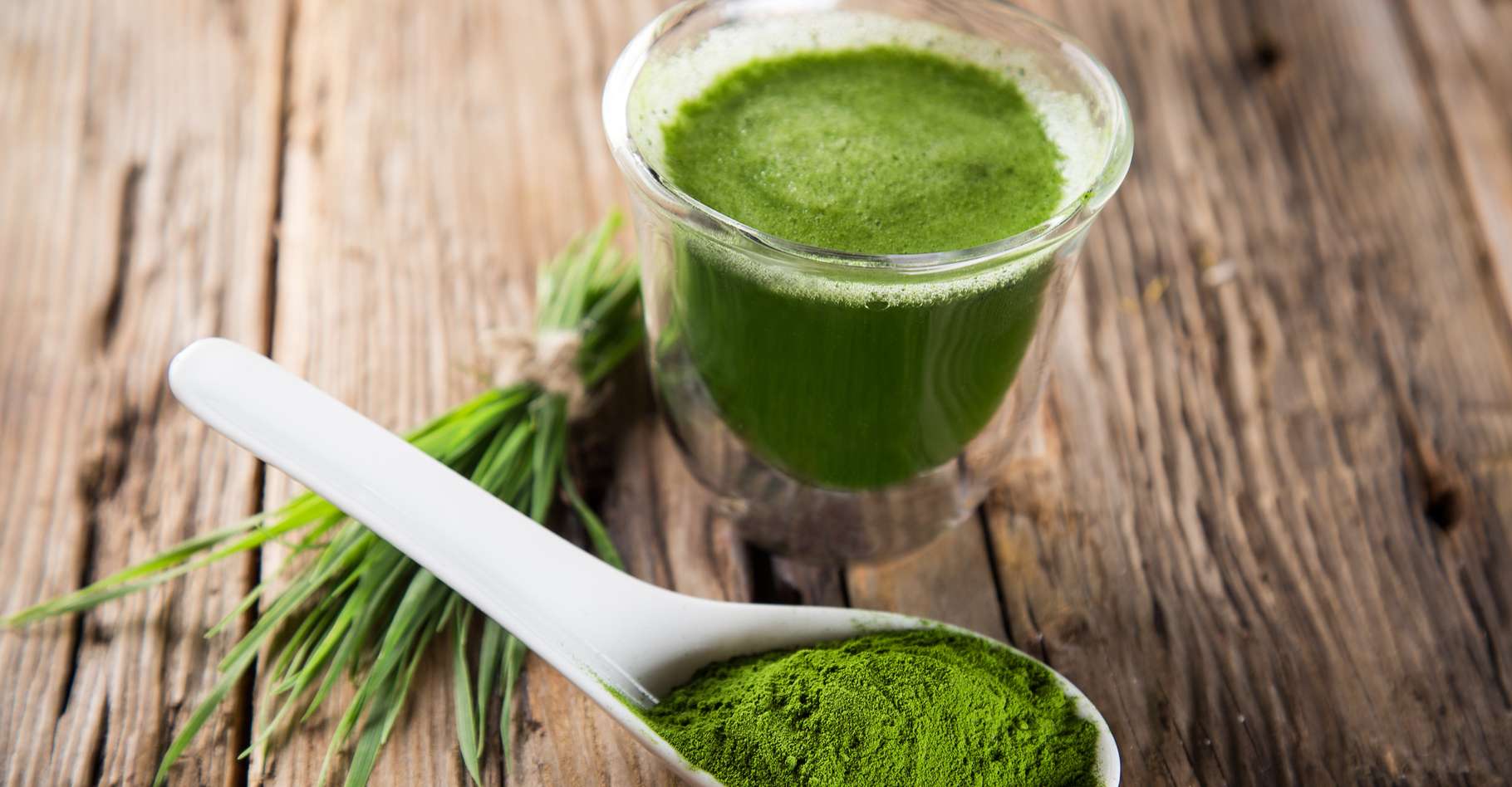 Définition Spiruline