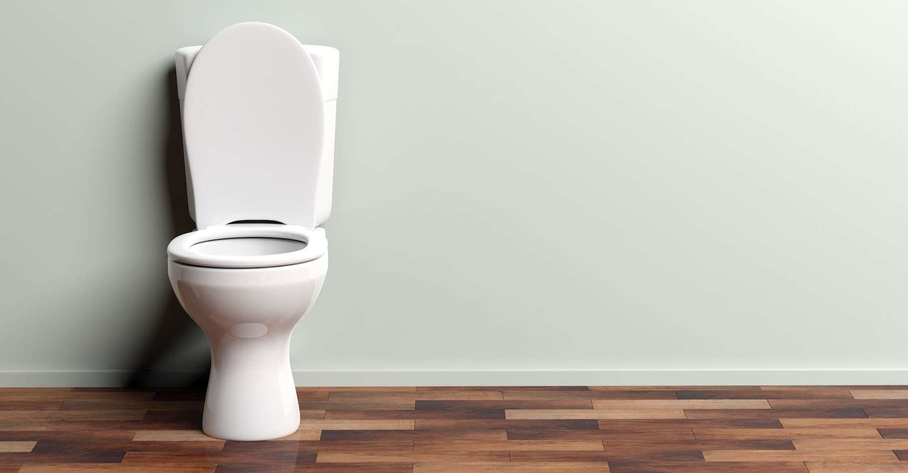 Lunette de toilette — Wikipédia