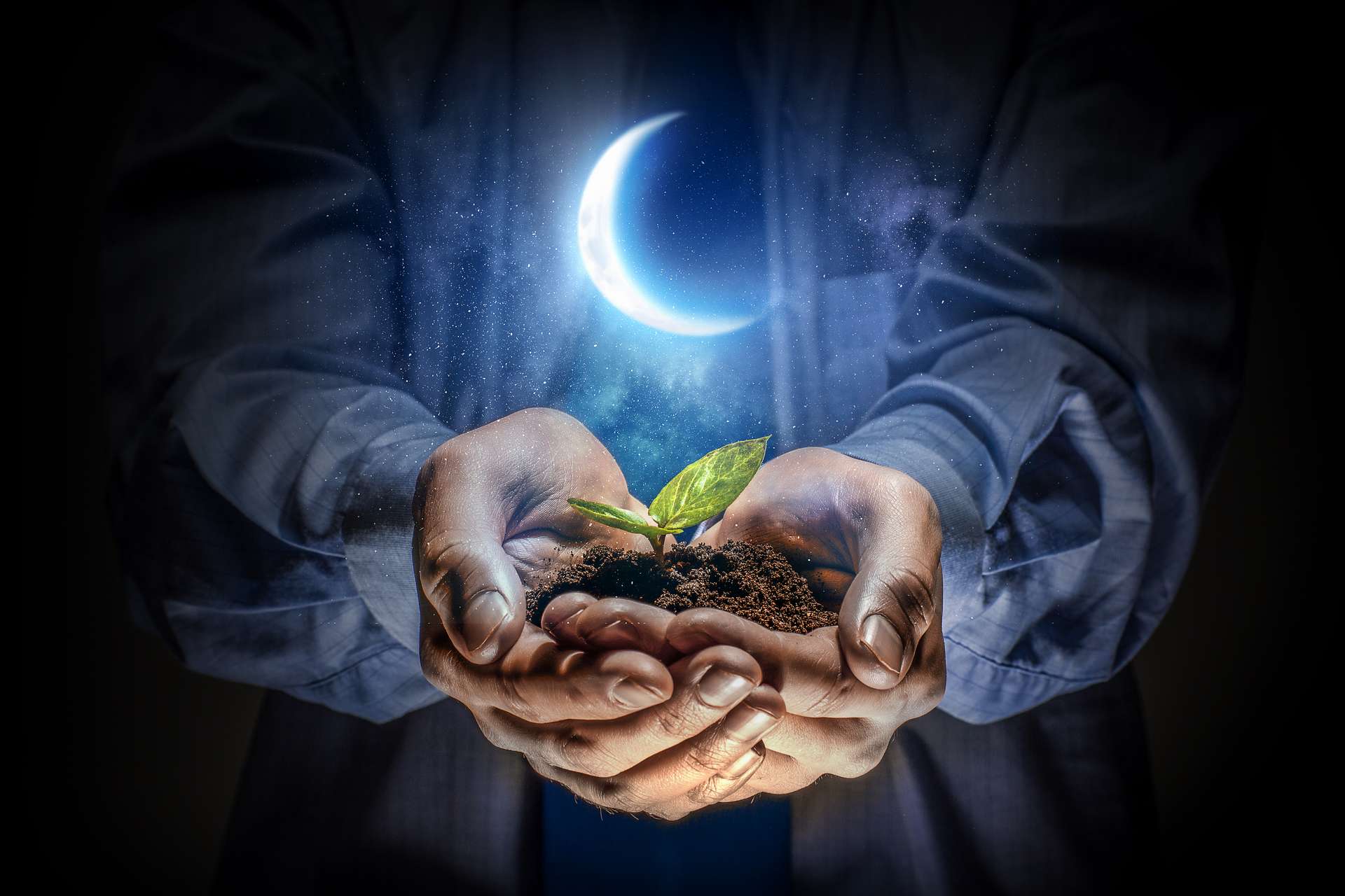 Jardiner avec la Lune une réalité pour le jardin
