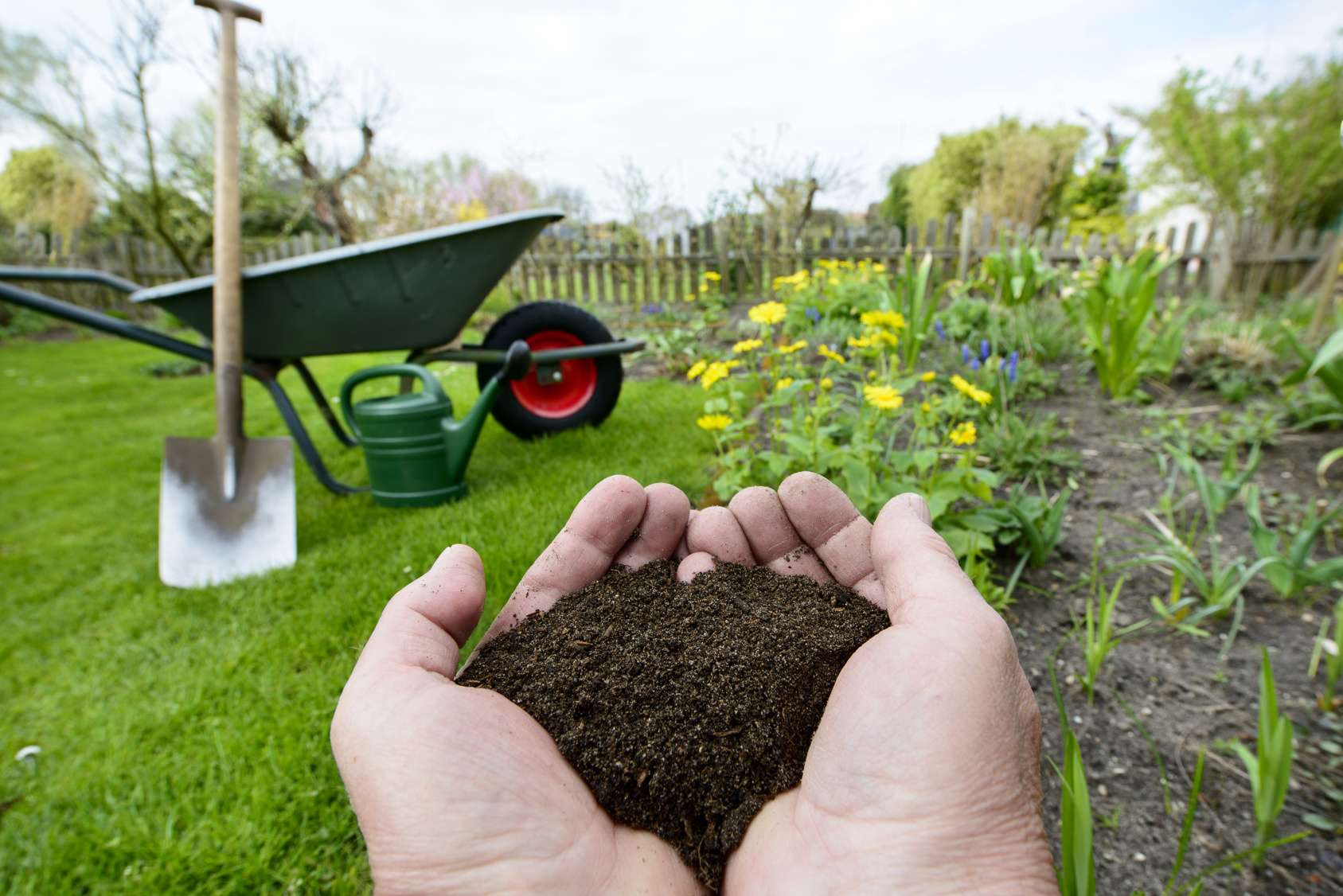 Le lombricompost fait office de compromis pour la fertilisation