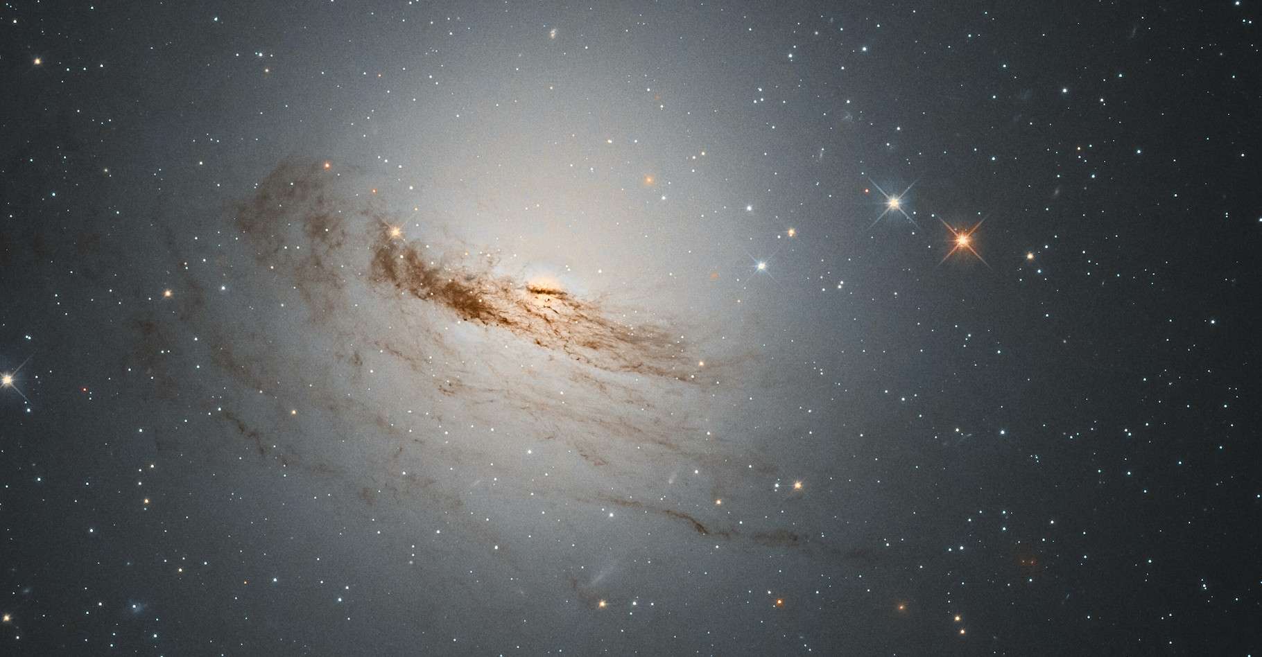 Les restes de la galaxie lenticulaire NGC 1947 révélés par le télescope spatial Hubble © D. Rosario, ESA, Hubble & NASA