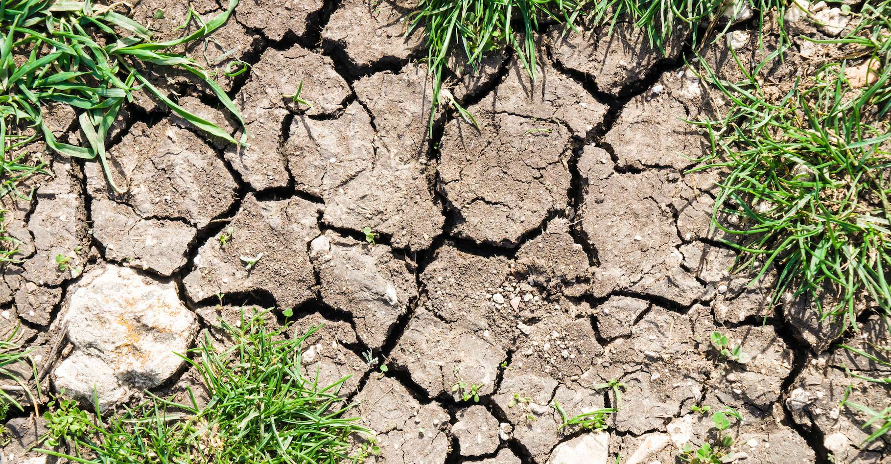 Les villes et les régions où il n'a pas plu une goutte d'eau depuis plus d'un mois