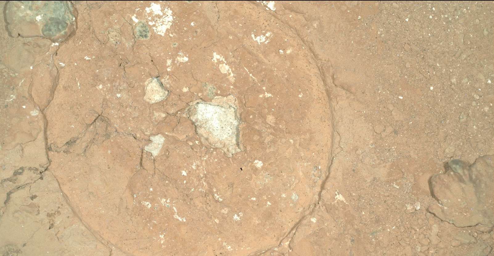 An exceptional discovery of a green spot on the surface of Mars may change history