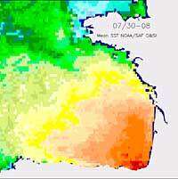 Canicule : des températures de surface de la mer hors norme Cette image correspond à la température décadaire moyenne sur 11 ans, de 1985 à 1995, du 30 juillet au 8 août. L'échelle des couleurs est saturée à 23°C en août 2003 sur une grande partie du Golfe. Un tel niveau de températures a déjà été observé mais rar
