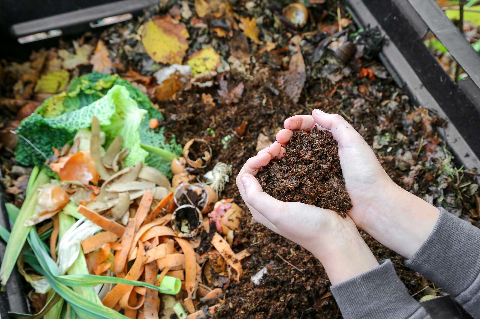 Déchets alimentaires : un robot qui recycle la matière organique