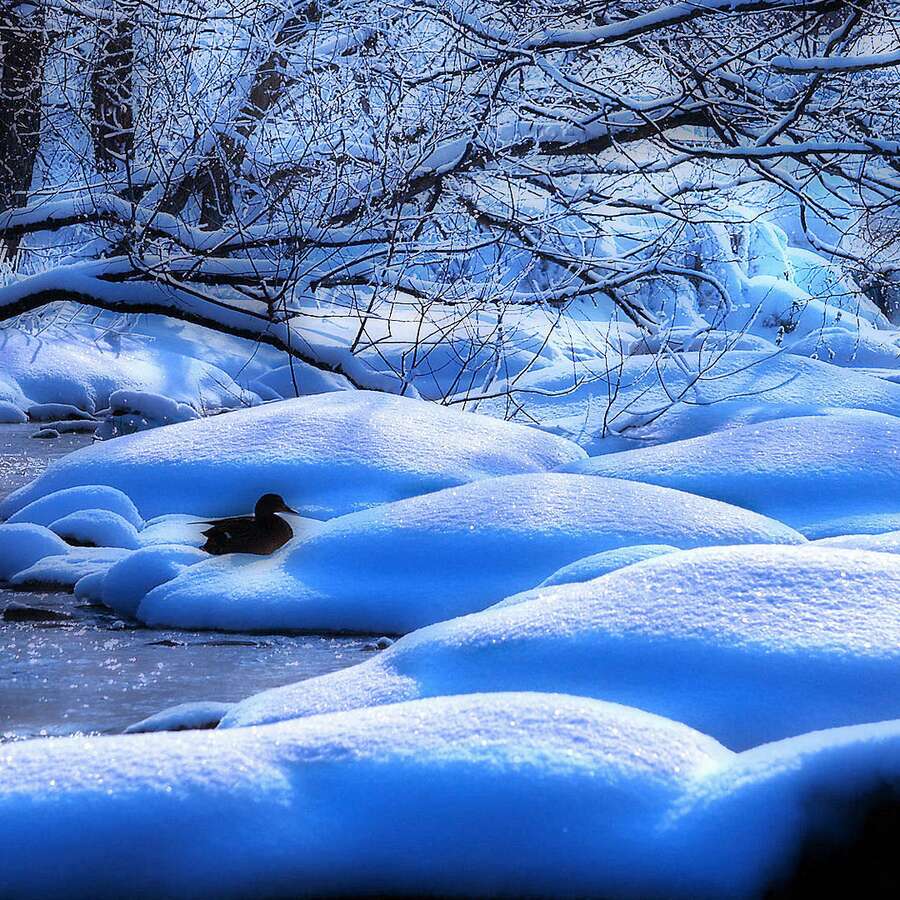 Fonds d'écran Neige Futura.