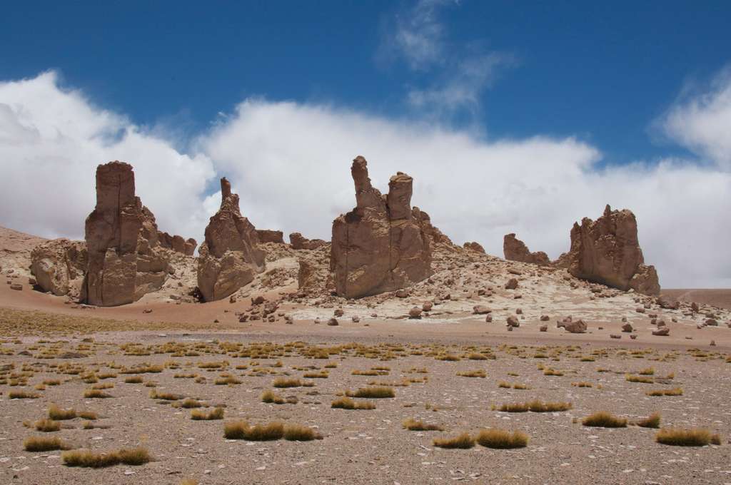 La lave érodée du désert d’Atacama La lave érodée du désert d’Atacama