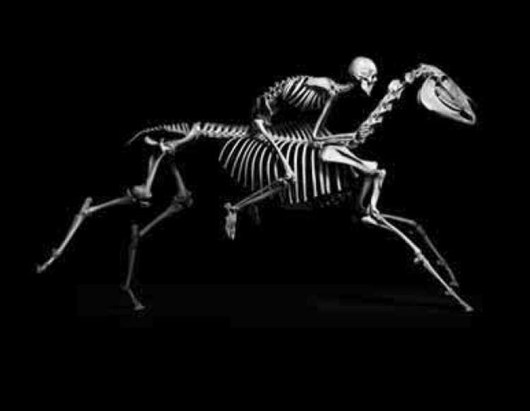 Homme à cheval Homme à cheval