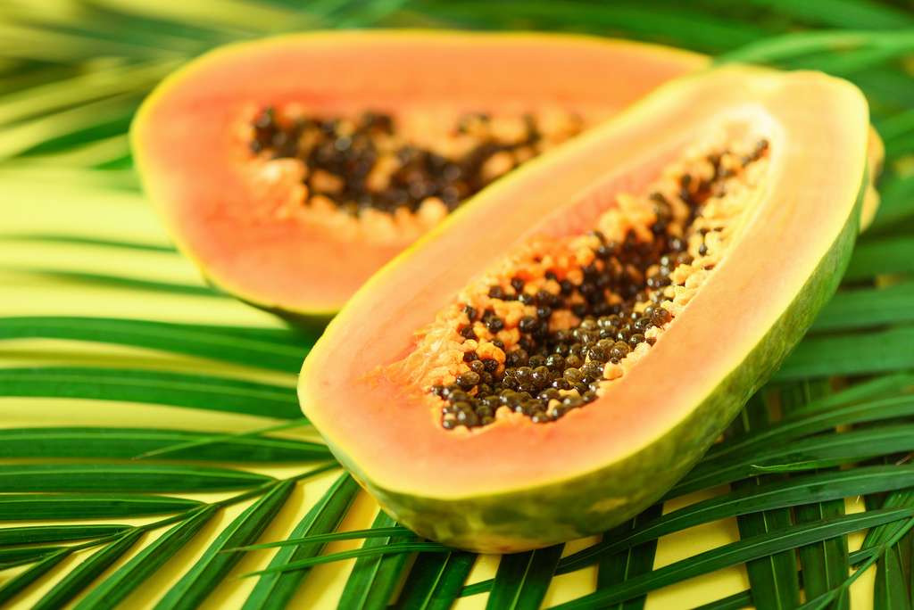 La papaye transgénique 55-1 exprime la protéine de capside du papaya ringspot virus (PRSV), ce qui la rend résistante à l'infection par ce virus. © jchizhe, Adobe Stock
