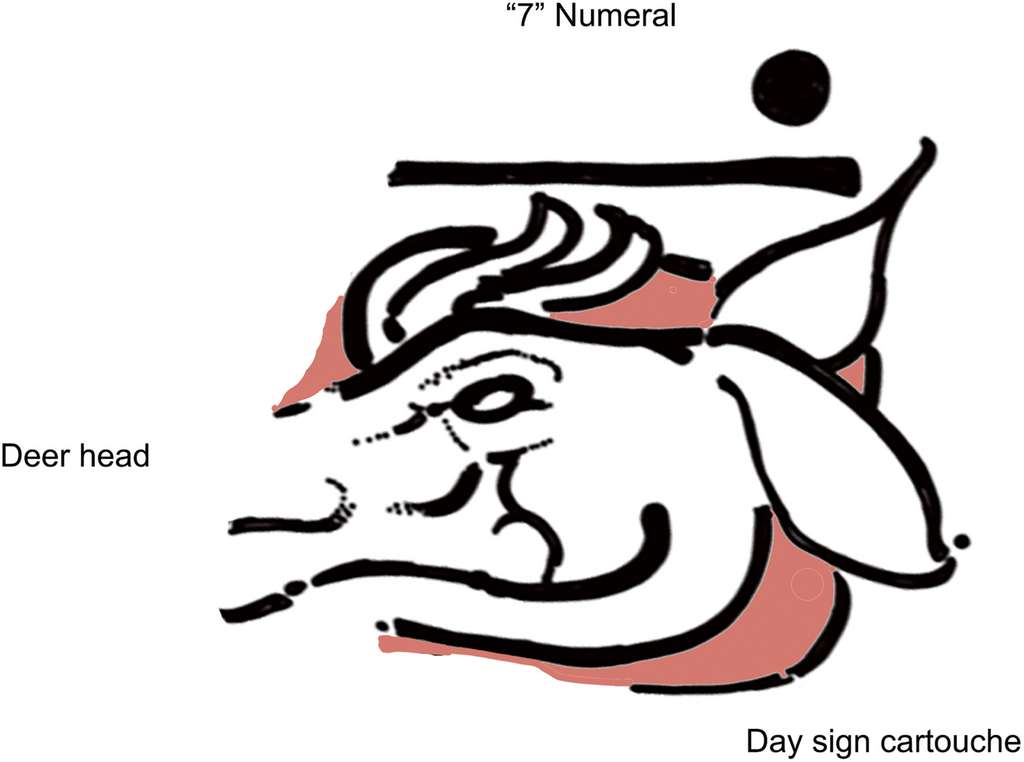 Les scientifiques ont pu reconstituer le symbole représenté sur le fragment de la fresque. Il représente un des 260 jours du calendrier sacré maya, le « 7 cerf ». Le dessin a été réalisé par David Stuart. © 2022 David Stuart, Heather Hurst, Boris Beltrán, William Saturno