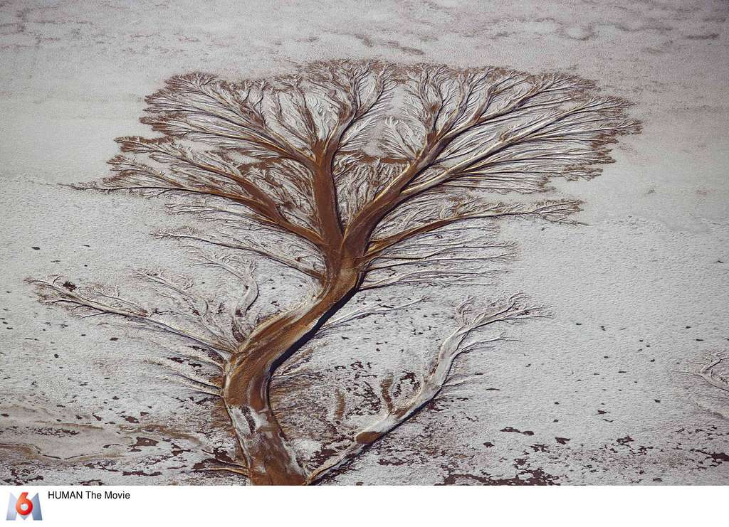 Legacy Notre Heritage De Yann Arthus Bertrand Ce Soir Sur M6 Il N Y A Pas De Vaccin Contre Le Dereglement Climatique