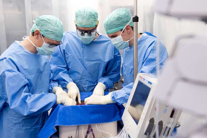 Les médecins suisses qui connectent le greffon à la machine dans une salle blanche. © USZ
