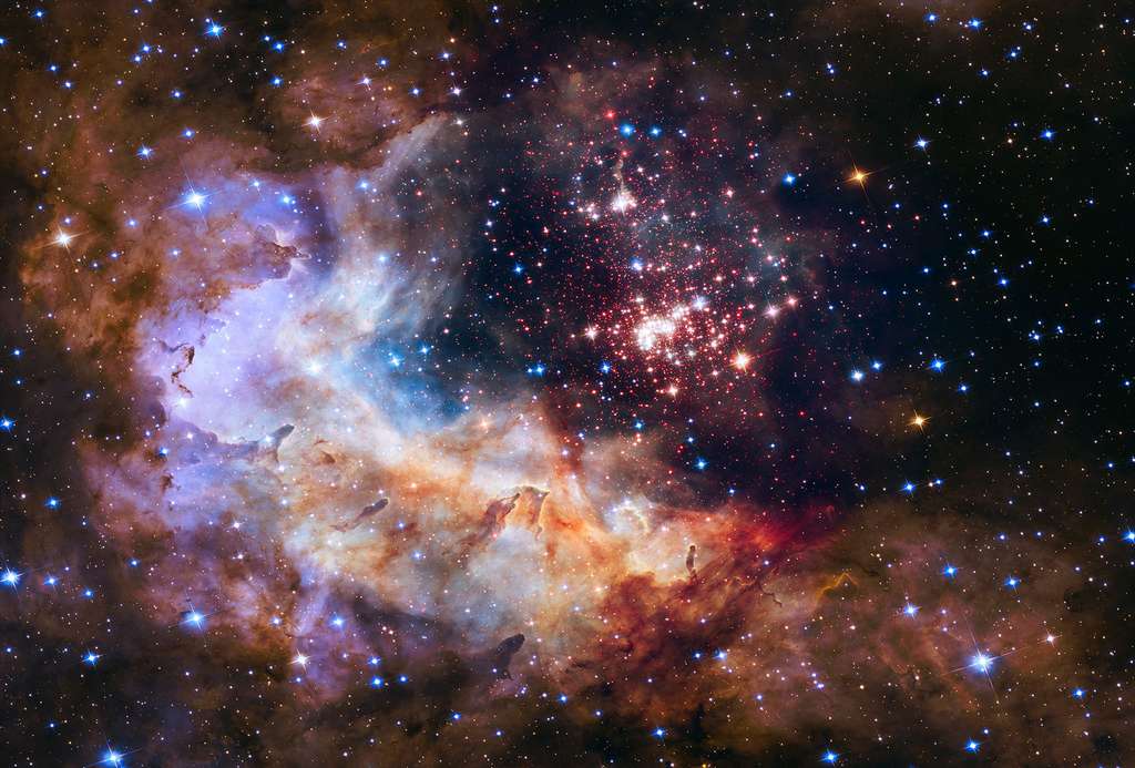 Une grappe de bébés étoiles à l'ornière d'un épais nuage de gaz et de poussières Une grappe de bébés étoiles à l'ornière d'un épais nuage de gaz et de poussières