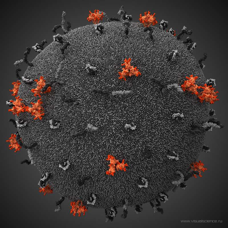 La particule virale du VIH