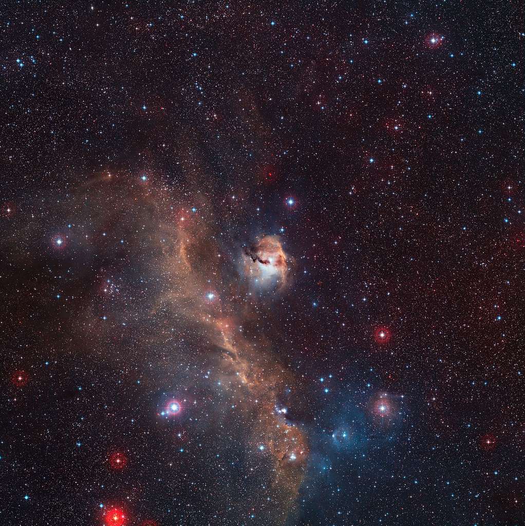 Cette image à grand champ a capturé la région évocatrice et riche en couleurs de la nébuleuse de la Mouette, IC 2177, à la frontière des constellations de la Licorne et du Grand Chien. Cette vue a été créée à partir d’images réalisées dans le cadre du Digitized Sky Survey 2. © ESO, Digitized Sky Survey 2, Davide De Martin