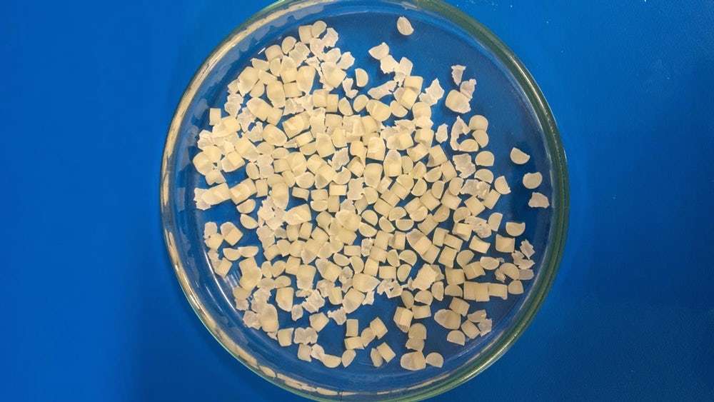 Ces capsules biodégradables fabriquées à partir de fécule de maïs protègent une substance larvicide, le thymol, qui s'attaque au moustique Aedes aegypti. © São Paulo Research Foundation (FAPESP)