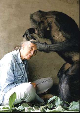 © Institut Jane Goodall France - Toute reproduction interdite