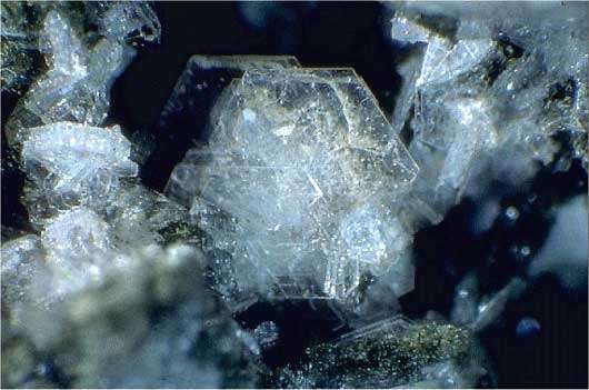 Cristaux de Tridymite. © Webmineral - Lou Perloff - Photo Atlas of Minerals 