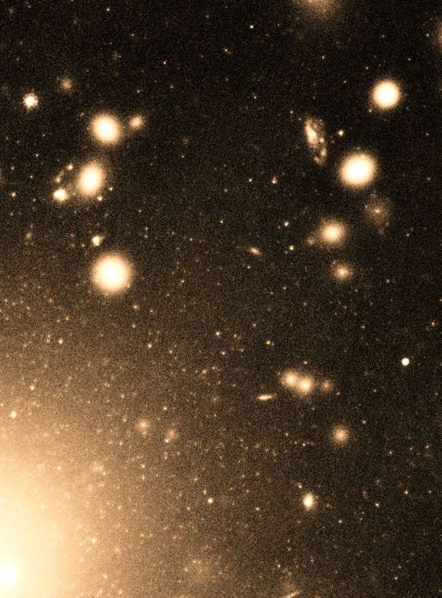 En plongeant son objectif au cœur de l'amas de galaxies Abell 1689, la Advanced Camera for Surveys du télescope Hubble a pris des images montrant des milliers d'amas globulaires âgés d'au moins 11 milliards d'années, sous forme de petits points blancs. Les grandes taches brillantes sont des galaxies de l'amas. © Nasa, Esa