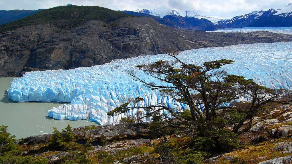 Le glacier Grey en danger Le glacier Grey en danger