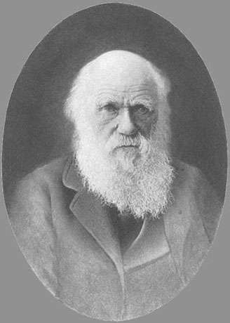 Charles Darwin (1809-1882). © DR