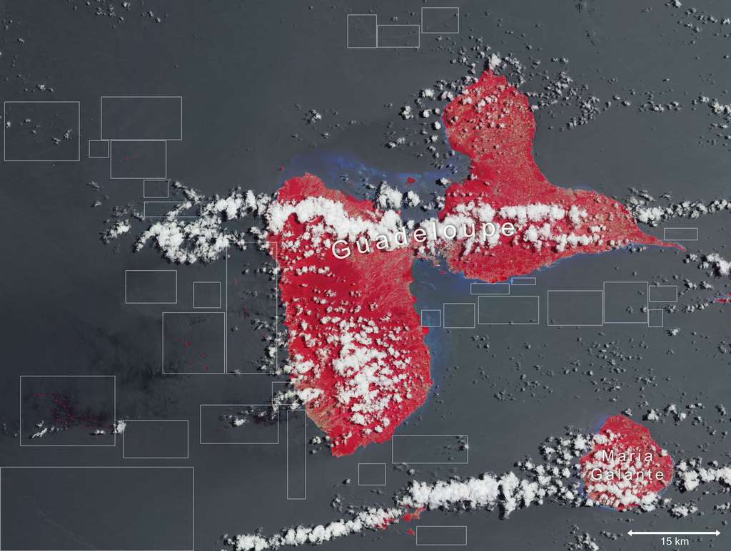 Brève Linvasion Des Algues Sargasses En Guadeloupe Vue