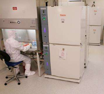 Les cellules souches GRNOPC1 sont cultivées dans un laboratoire spécialisé, dans des conditions stériles drastiques. © Geron corp.