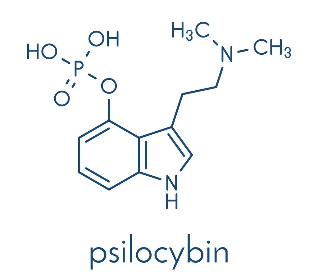 Structure de la psilocybine. © molekuul.be, Adobe Stock